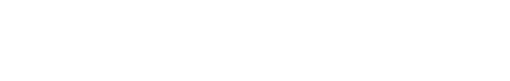 Salgado Stone Logo White